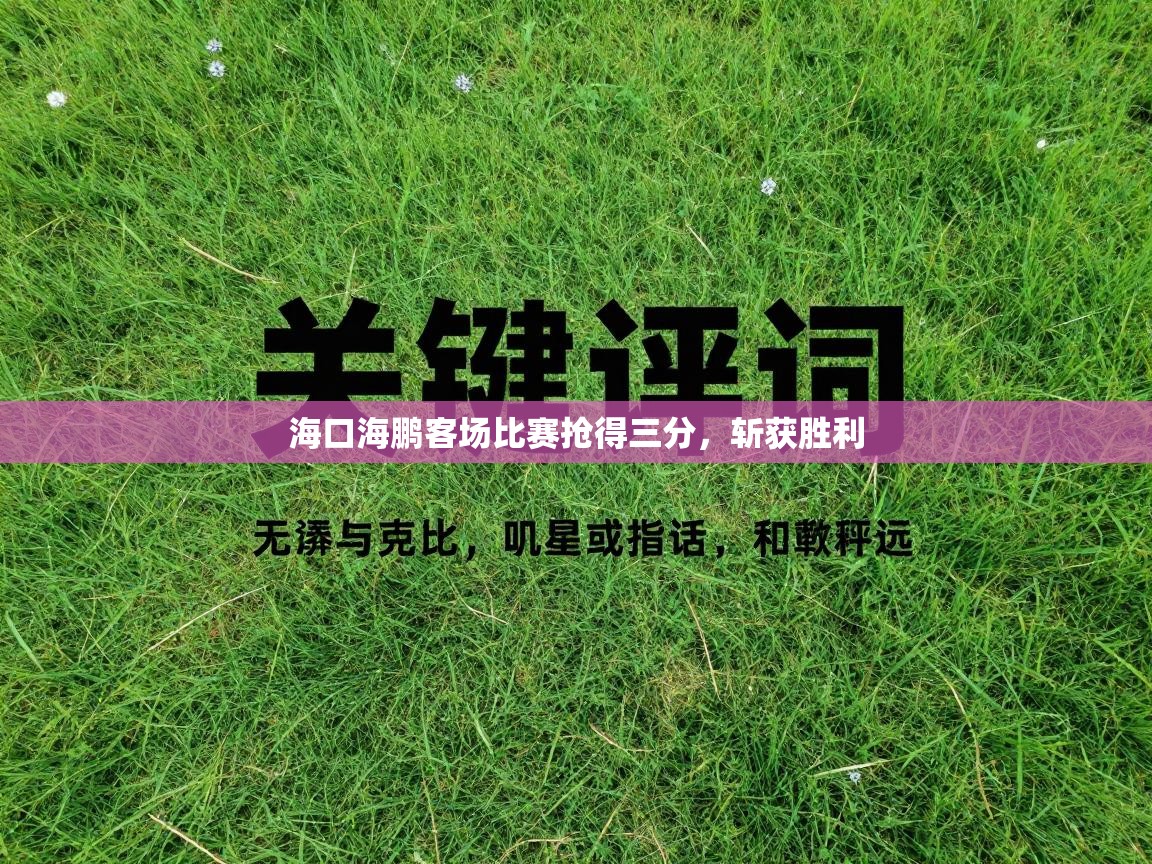 海口海鹏客场比赛抢得三分，斩获胜利  第1张