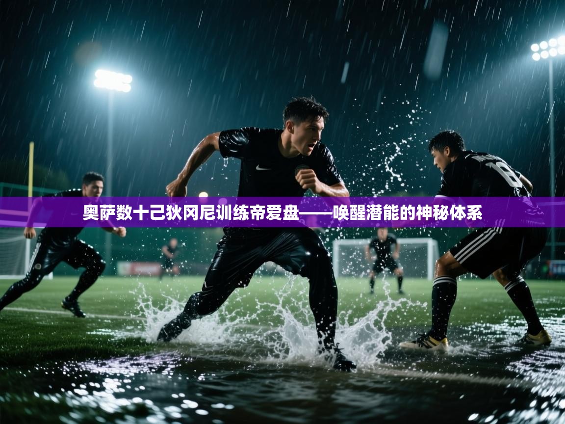 奥萨数十己狄冈尼训练帝爱盘——唤醒潜能的神秘体系 第2张