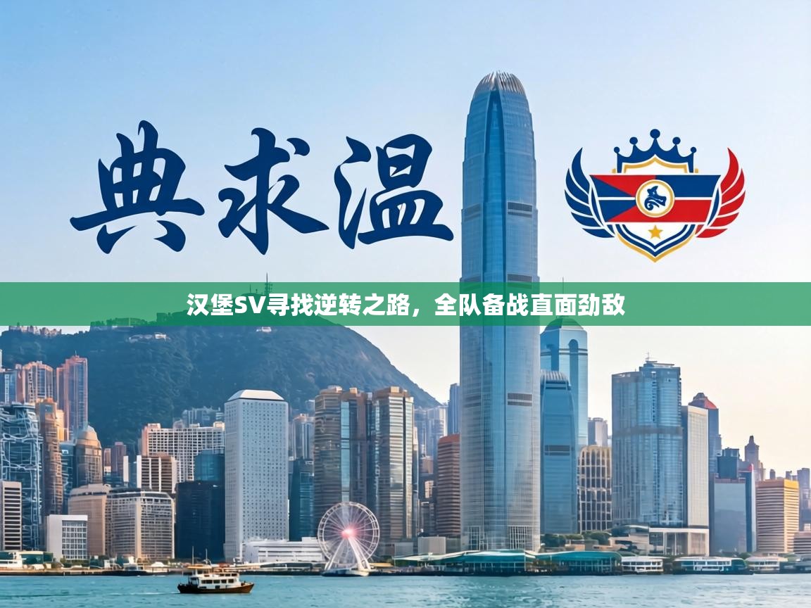 汉堡SV寻找逆转之路,全队备战直面劲敌 第2张