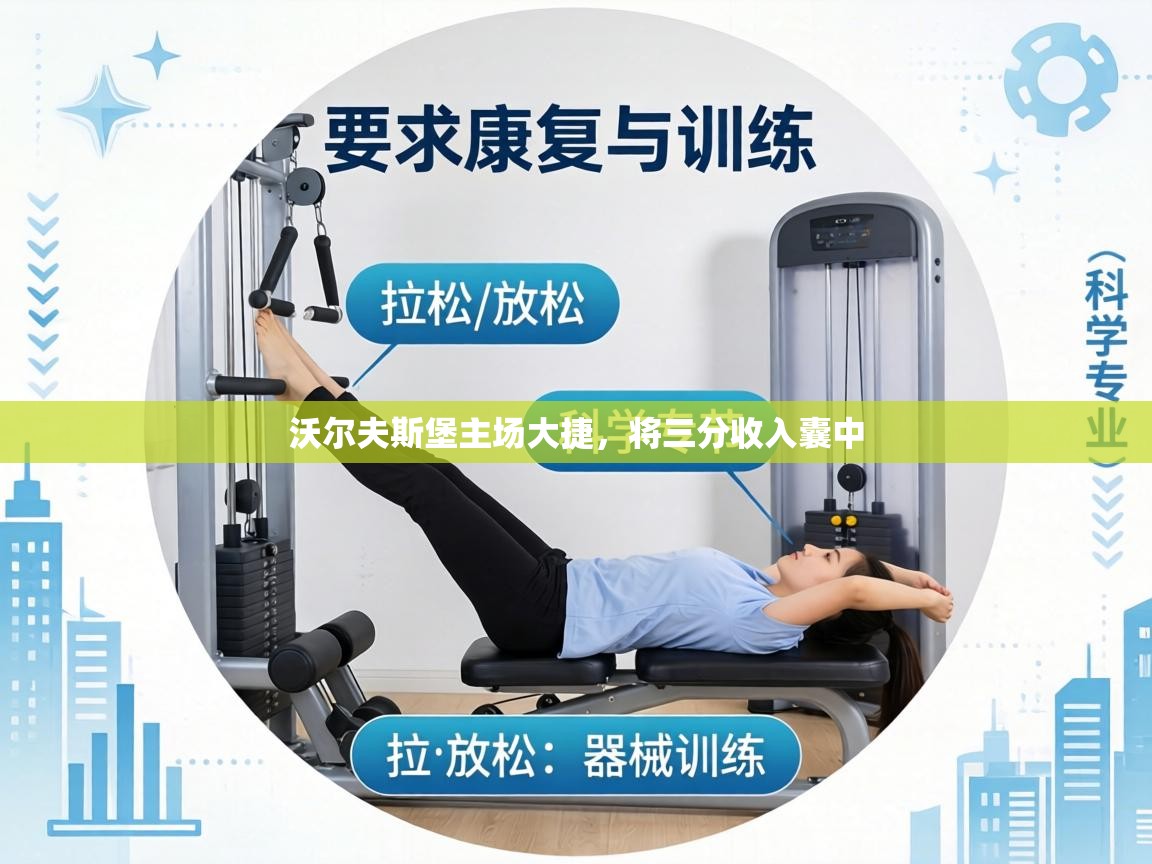 沃尔夫斯堡主场大捷,将三分收入囊中 第1张